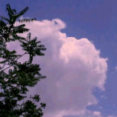湖南炎陵第四届桃花节隆重开幕