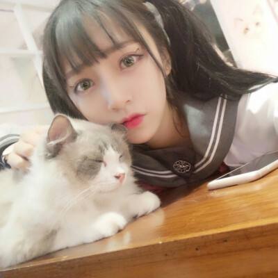 晴天小狗华为版下载